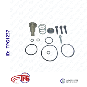 Kit Reparacion Tpg Válvula De Purga
  Secador Ad-9 