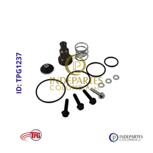 Kit Reparacion Tpg Válvula De Purga Secador Ad-9 