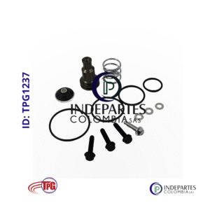 Kit Reparacion Tpg Válvula De Purga Secador Ad-9 