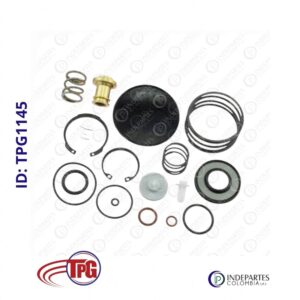 Empaquetadura Reparación Secador Tipo Americano Con Diafragma Tpg