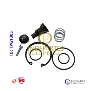 Kit Reparacion Tpg Valvula Purga Secador AD - IS AD - IP