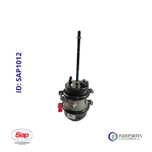 Camara Doble Sap 2024 Agrale Ford Cargo